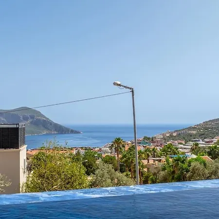 Cihan Kalkan